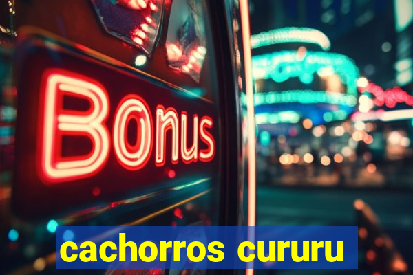 cachorros cururu